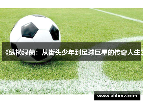 《纵横绿茵：从街头少年到足球巨星的传奇人生》