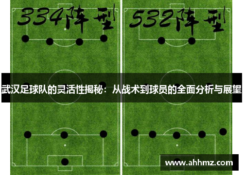 武汉足球队的灵活性揭秘：从战术到球员的全面分析与展望