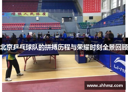 北京乒乓球队的拼搏历程与荣耀时刻全景回顾