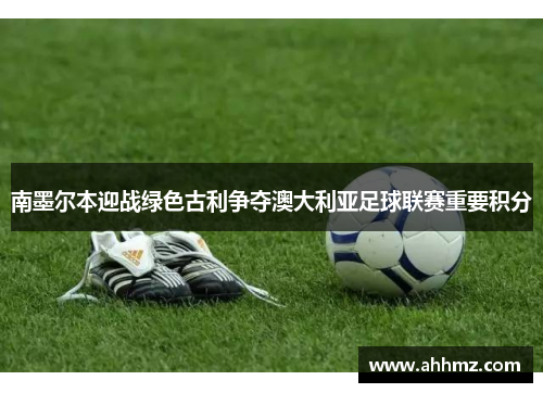 南墨尔本迎战绿色古利争夺澳大利亚足球联赛重要积分